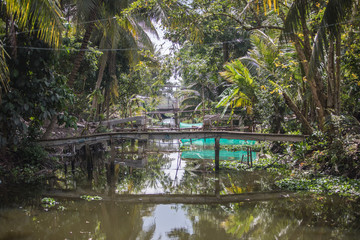 Fototapeta na wymiar old bridge in a jungle of vietnam