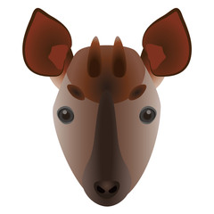 オカピ © SKYS Co., Ltd.