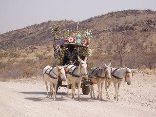 Donkey cart
