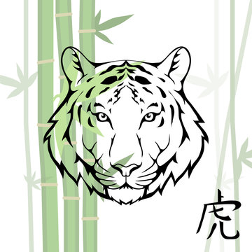Chinese Tiger. (Chinese Translation:Tiger)