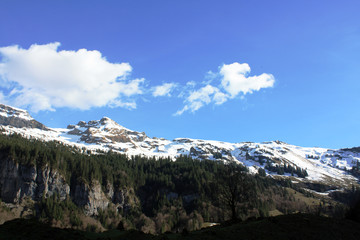 Fototapeta na wymiar Alps with sky in Switzerland in spring