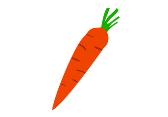 Carrot illustration vector