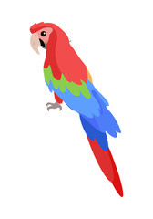 Ara Parrot Cartoon Icon in Flat Design