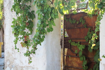 Eingang, aber wohin?