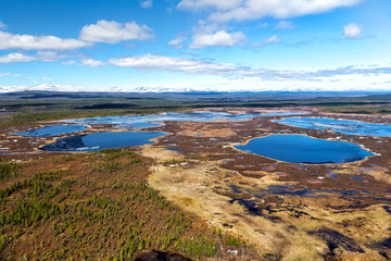 Northern landscape. Endless forests. Impenetrable swamps in the north