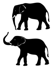 Two elephants with a trunk down and a trunk up vector eps 10