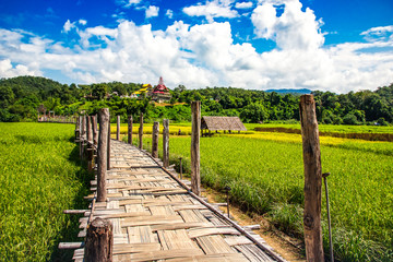 Zutongpae Bridge on rice field,Mae hong son nature background