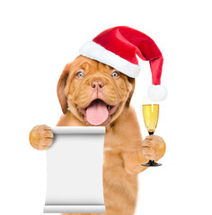 Funny puppy in red christmas hat with empty list and glass of champagne. isolated on white background
