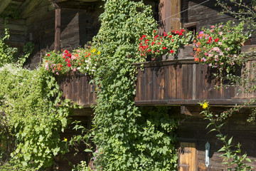 Fototapeta na wymiar Blumengeschmückter BalkonTraditionelles Holzhaus bei Kitzbühel.