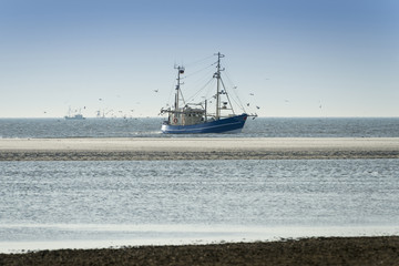 Krabbenfischer in der Nordsee © Oskar