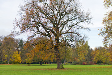 Karlsruhe, im Schlosspark