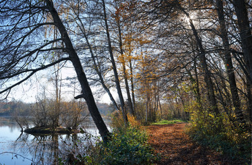 Clarette pond in the french Gâtinais regional nature park