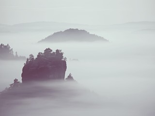 View into misty valley. High trees and rocky peaks increased from thick fog.  The first sun rays