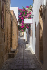 Obraz premium Street of LINDOS, RHODES ISLAND, GREECE On the way to Acropolis in Lindos.