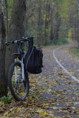 The path in the autumn forest and the bike hardtail. Bicycle lying on the ground in the forest bicycle in the autumn forest