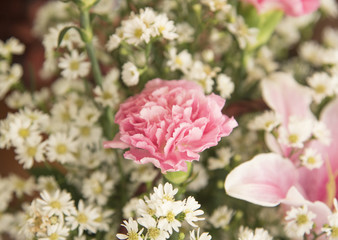 Flower on Natural background