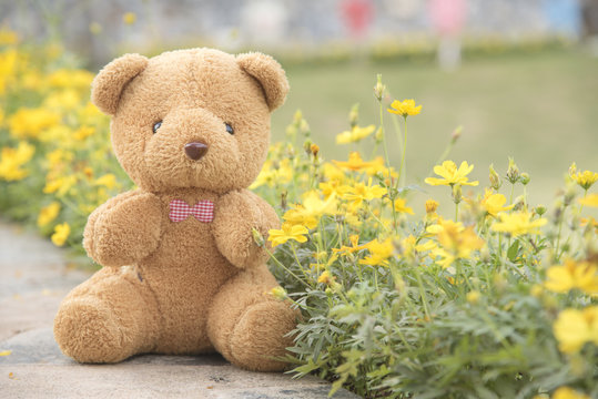 Teddy bear on a flower background blurred