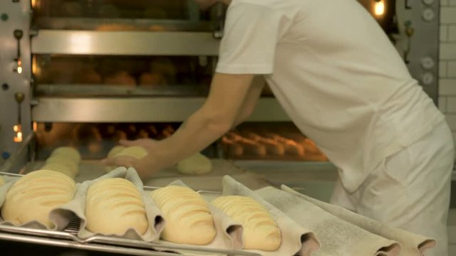 Manufacture of bakery products. Bakery, bread baking.