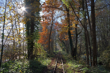 railway track in the french Gâtinais regional nature park