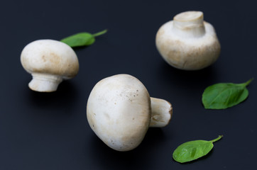 Composition of champignons and basil. White mushrooms on a black background.