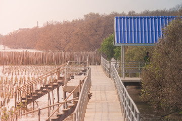 Beautiful landscape summer seasonal of blue pavilion with footpath or walkway in mangrove forest at Bangpu Recreation Center, Smutprakarn Province, Thailand.