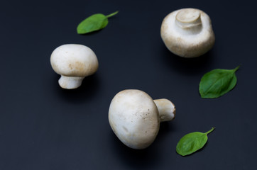 A composition of three mushrooms and basil leaves on a dark matte background.