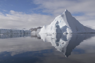 Eisberge im Neny Fjord