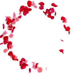 Rose petals fall to the floor