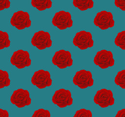 Red Rose on Seamless Blue Teal Background