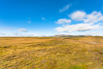 Obraz premium flat landscape in Iceland in sunny september day