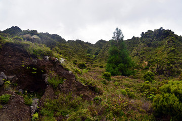 Fototapeta na wymiar Hiking from Agua de Alto (azores) to the craterlake do Fogo
