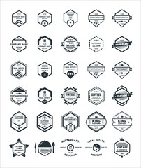30 Set of Hexagon Vintage Hipster Badge Logo Design Template Vector Symbol