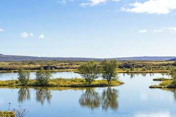 island in Thingvallavatn Lake in Thingvellir park