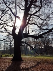 Park jesienią © michalsen