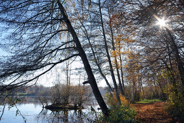 étang de Grez sur Loing dans le parc régional naturel du Gâtinais français