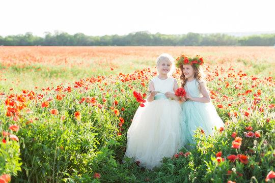 little girl model, childhood, happiness, fashion, summer concept - two little princesses dressed in white and blue elegant clothes with bouquets of poppies, they are smiling in sunny field of flowers