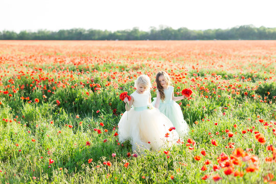 little girl model, childhood, fashion, summer concept - walk of two young beautiful sisters in white and blue holiday dresses on a field of poppy, in hands of each a bouquet of flowering poppies
