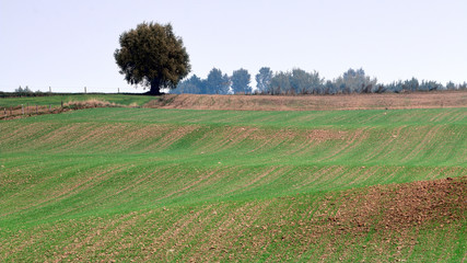 początek jesieni na Warmii © Janusz Lipiński