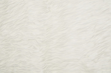 Closeup of white fluffy fur texture or pattern. Background with copy space for text or other design elements.