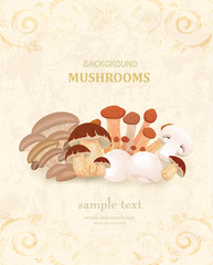 vintage banner with edible mushrooms for your design