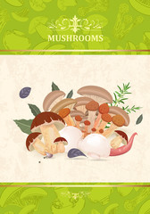 vintage banner with mushrooms and herbs for your design
