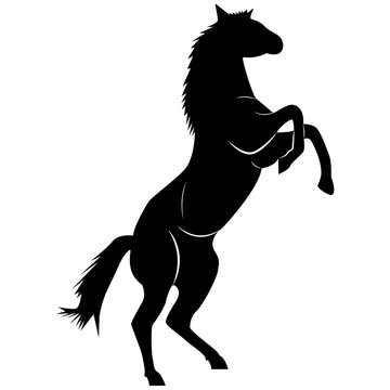 Vector image of a silhouette of a horse standing on the hind legs