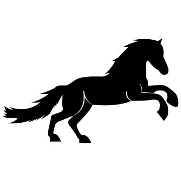 Vector image of a silhouette of a horse standing on the hind legs