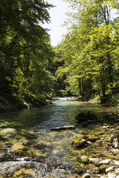 The famous Vintgar gorge Canyon with wooden pats near Bled, Triglav Nationalpark