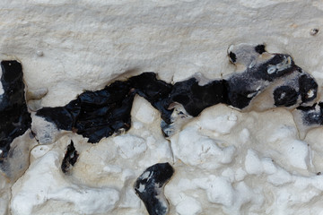 Black flint pebbles in limestone of Cretaceous age