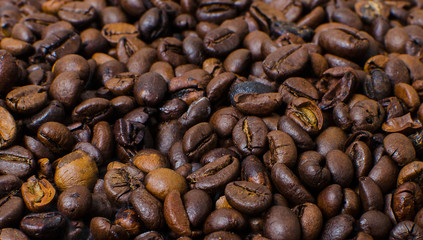 Roasted coffee beans