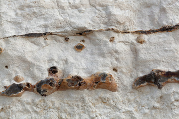 Black flint pebbles in limestone of Cretaceous age