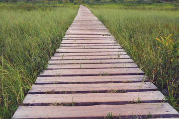 Empty boardwalk 