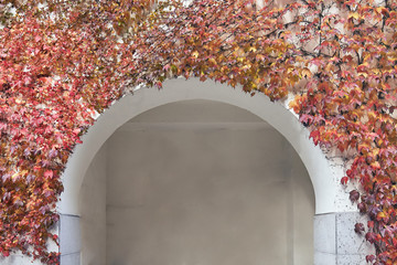 Arch on building surrounded by red and orange ivy in autumn. Copy space