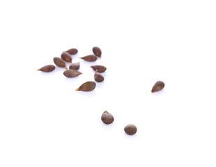 Apple Seeds On White Background
